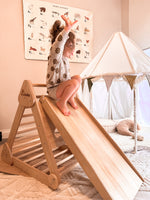 Riababy Wombat Climbing Set